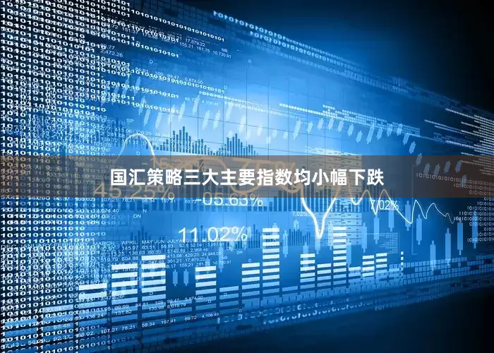 国汇策略三大主要指数均小幅下跌