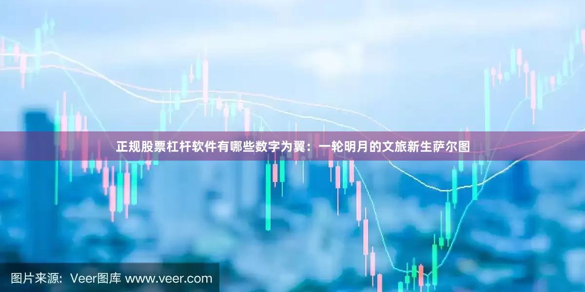 正规股票杠杆软件有哪些数字为翼：一轮明月的文旅新生萨尔图