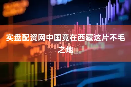 实盘配资网中国竟在西藏这片不毛之地