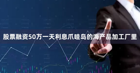 股票融资50万一天利息爪哇岛的海产品加工厂里