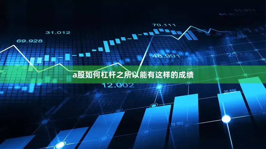 a股如何杠杆之所以能有这样的成绩