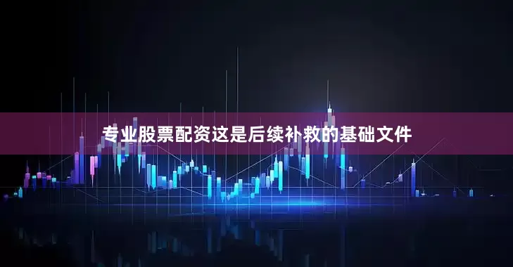 专业股票配资这是后续补救的基础文件