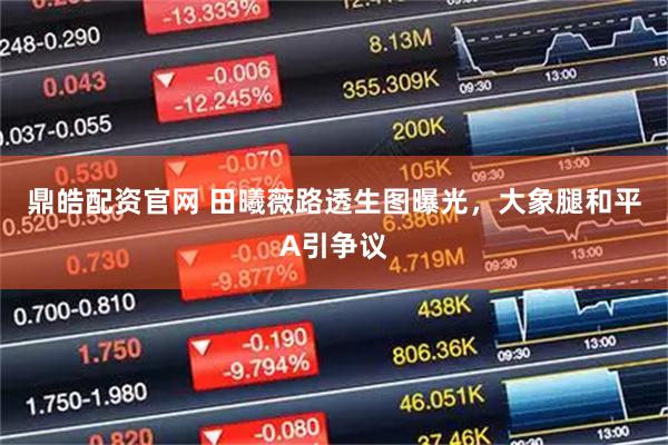 鼎皓配资官网 田曦薇路透生图曝光，大象腿和平A引争议