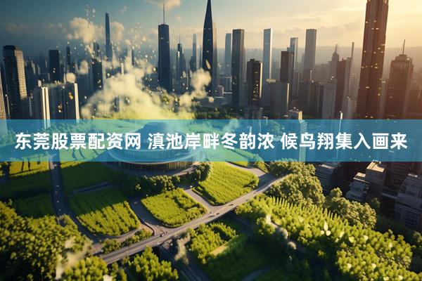 东莞股票配资网 滇池岸畔冬韵浓 候鸟翔集入画来