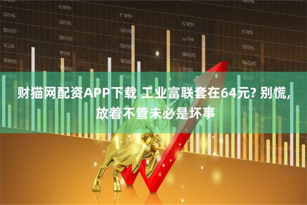 财猫网配资APP下载 工业富联套在64元? 别慌, 放着不管未必是坏事